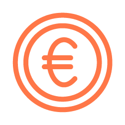 Euro icon