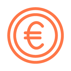 Euro icon